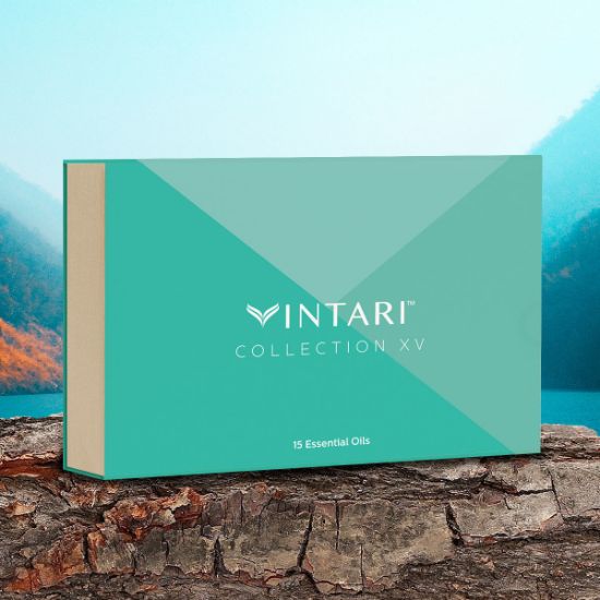 Picture of COLLECTION XV