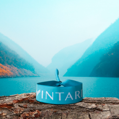 Imagen de Pulsera Vintari