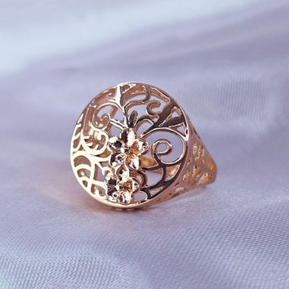 Imagen de Anillo Círculo Jardín Dos Flores