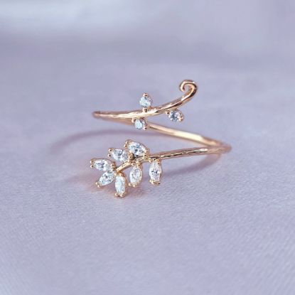 Imagen de Anillo Abundancia