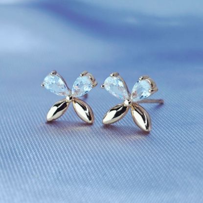 Imagen de Broquel Mariposa que Inspira