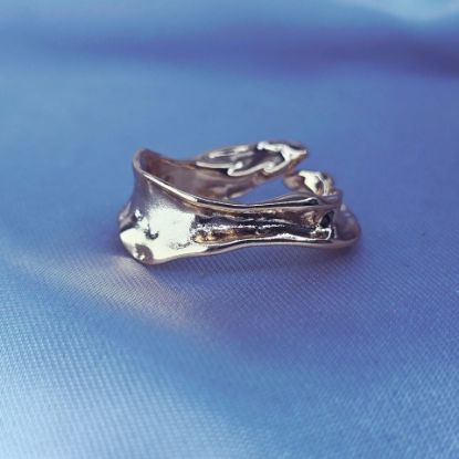Imagen de Anillo Innovador
