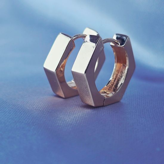 Imagen de Arracada Sofisticación de Oro