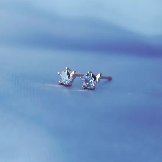 Imagen de Broquel Mini Mariposa y Circonia