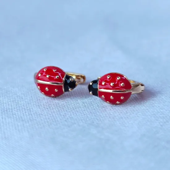 Imagen de Huggie Ladybug