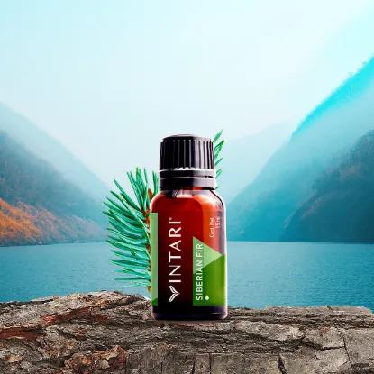 Picture of SIBERIAN FIR