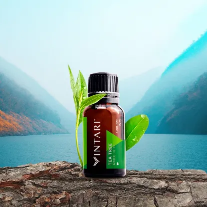 Picture of TEA TREE