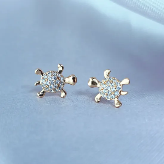 Imagen de Broquel Pequeña Tortuga