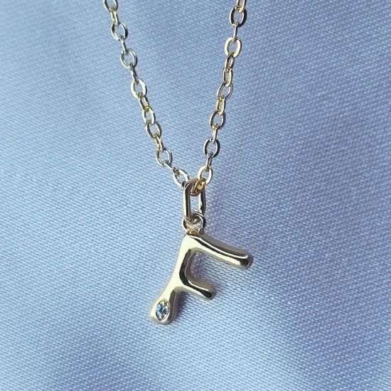 Imagen de Collar con Pequeño Brillo Inicial F  4501