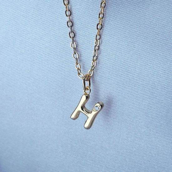 Imagen de Collar con Pequeño Brillo Inicial H  4501