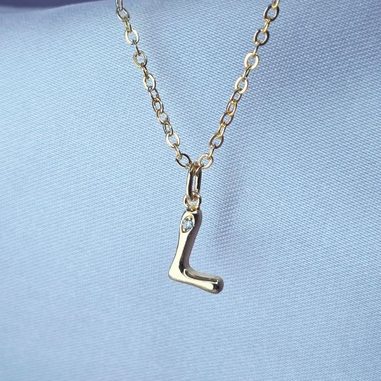Imagen de Collar con Pequeño Brillo Inicial L  4501