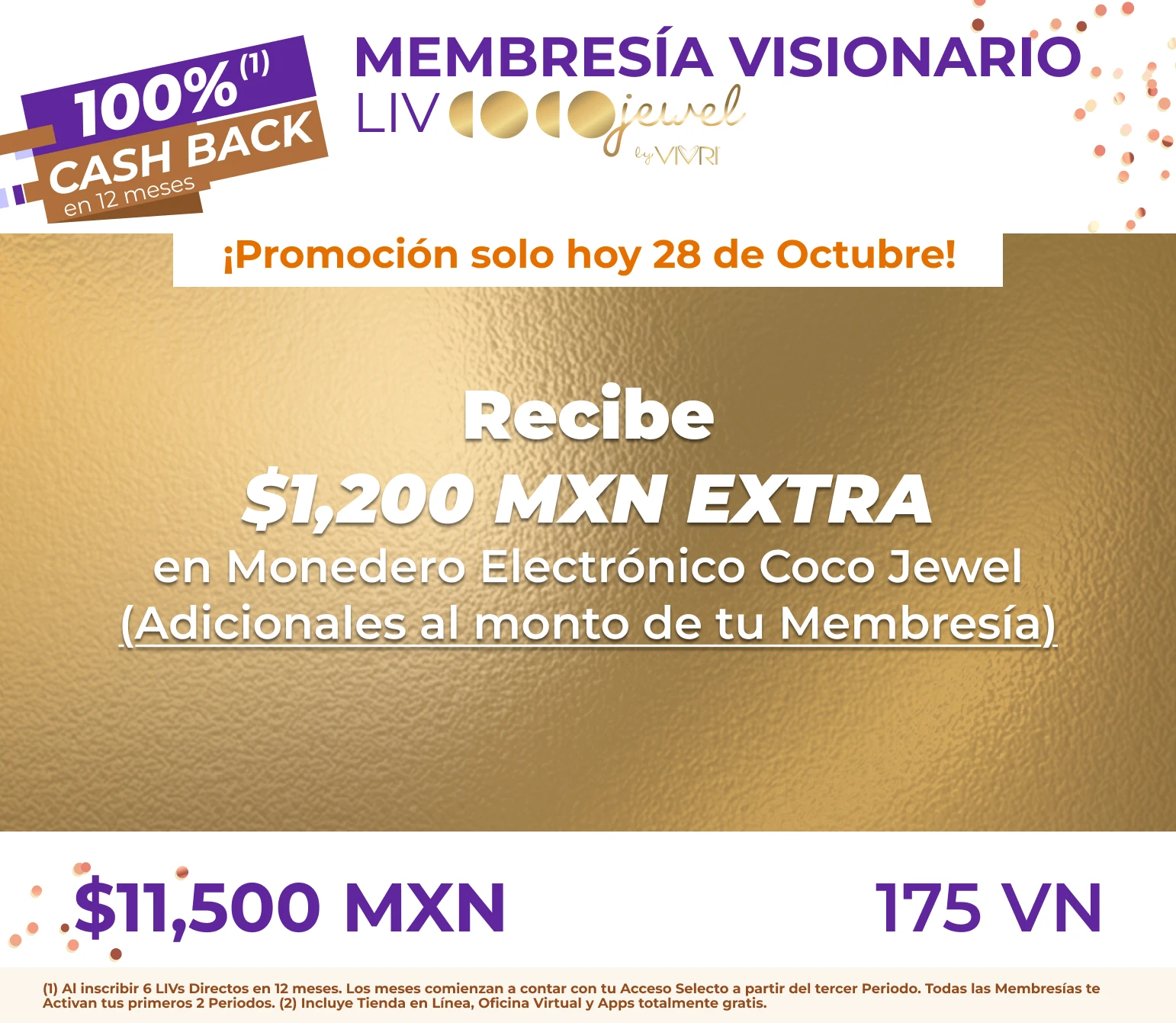 Membresía COCOJewel Visionario