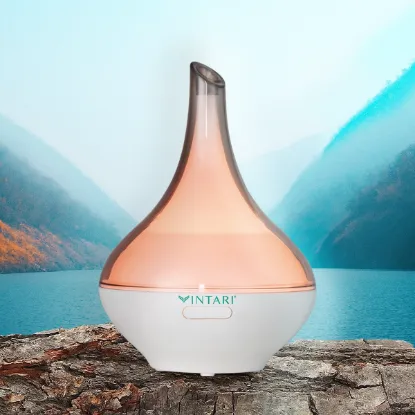 Imagen de Difusor VINTARI Bicolor