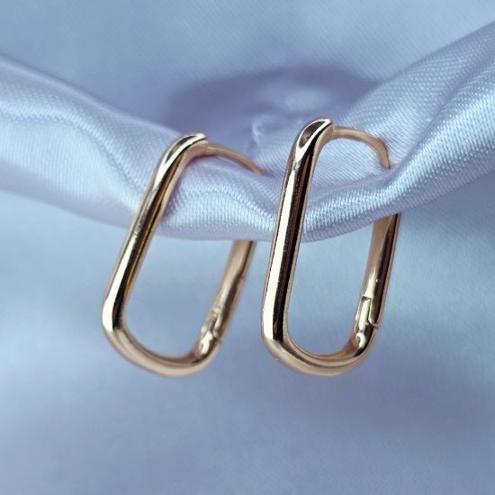 Imagen de Arete Delicadeza