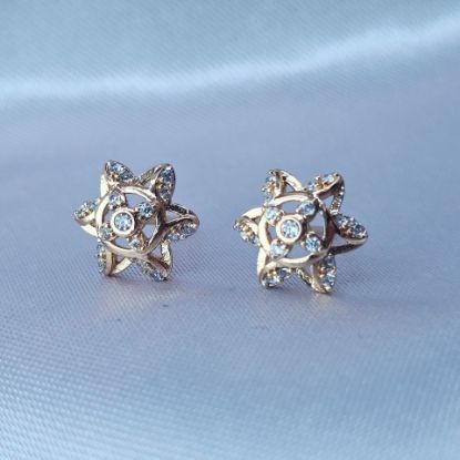 Imagen de Broquel Flor de Estrella