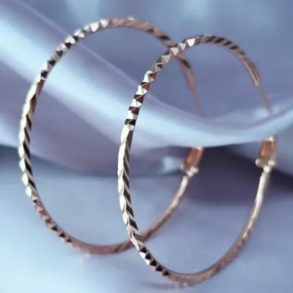 Imagen de Arracada Lynda