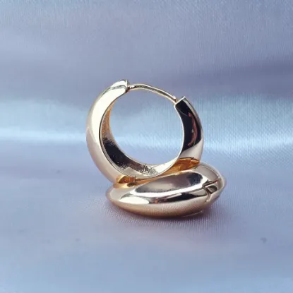 Picture of Lifetime Shine Hoop Earring