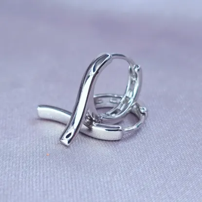 Picture of Huggie Discretion of Iron