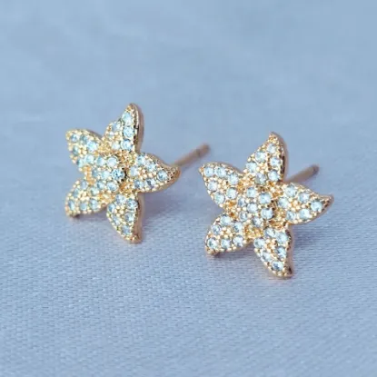 Imagen de Broquel Flor Estrella