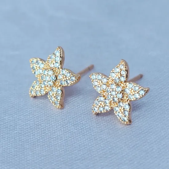 Imagen de Broquel Flor Estrella