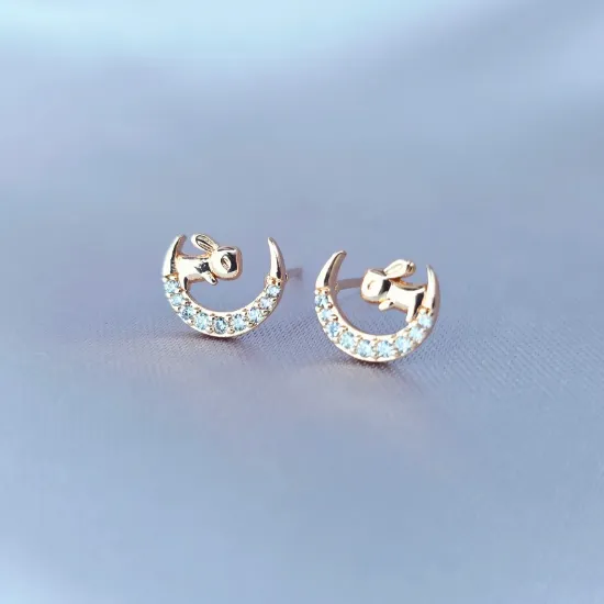 Imagen de Broquel Conejito Admirando a la Luna