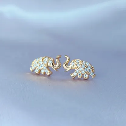 Imagen de Broquel Elefante Símbolo Espiritual