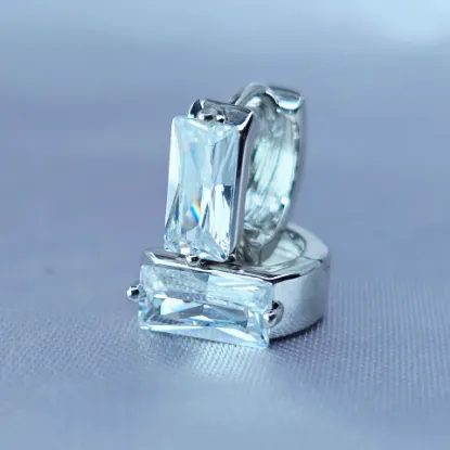 Picture of Huggie Rectangle Shiny