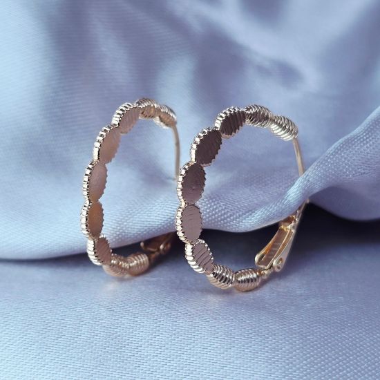 Imagen de Arracada Segmentos Ovalados Planos