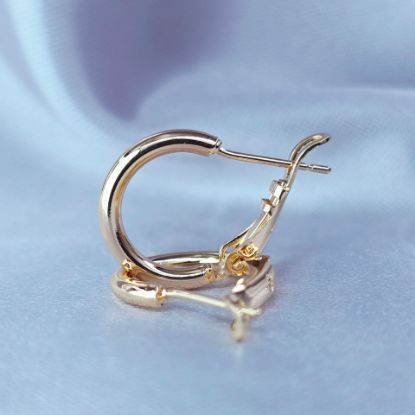 Imagen de Arracada Bonita y Sencilla