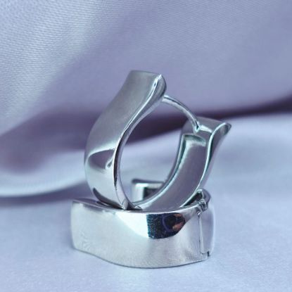 Imagen de Arracada Omega Blanca