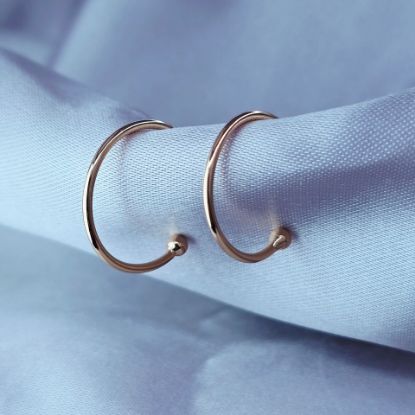 Imagen de Arete Punta Esferita