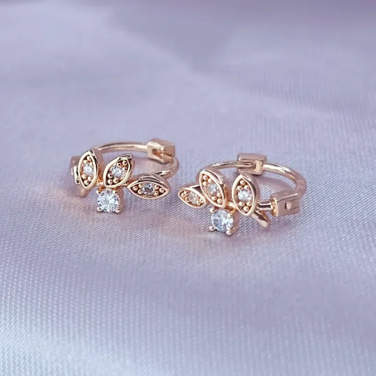 Imagen de Huggie Viaje de Circonias