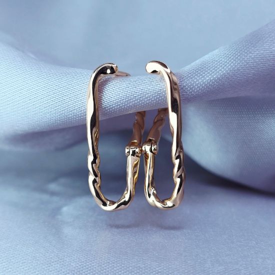 Imagen de Arete Curvas Ornamentadas