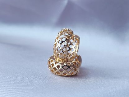 Picture of Huggie Gold Net