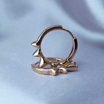 Picture of Gold Spike Earrings