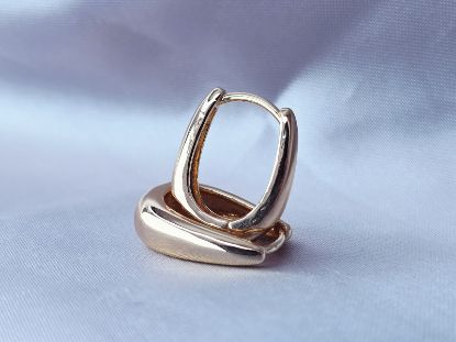 Picture of Lustrous Gold Earring