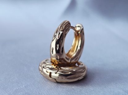 Picture of Huggie Valuable and Precious 