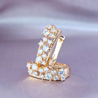 Imagen de Huggie Viaje de Circonias