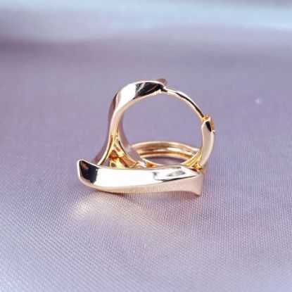 Picture of Luxury and Simplicity Huggie