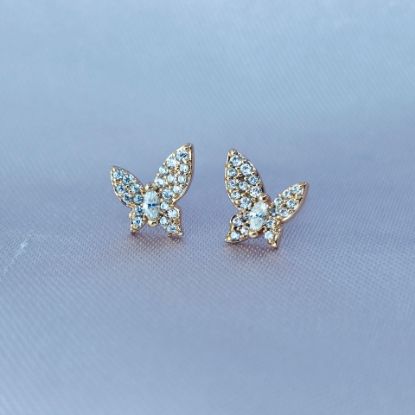 Imagen de Broquel Mariposa Preciosa