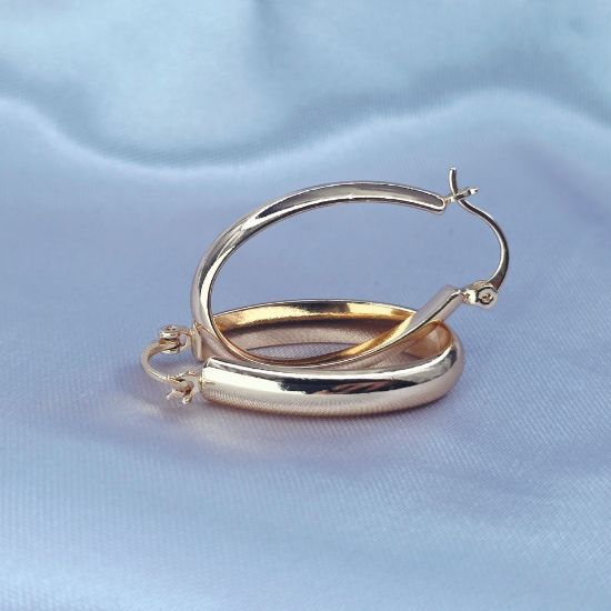 Imagen de Arracada Columpio de Oro