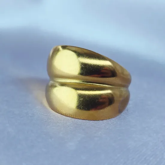 Imagen de Anillo Dos Donas