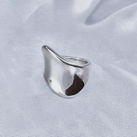 Imagen de Anillo Superficie Pulida  8