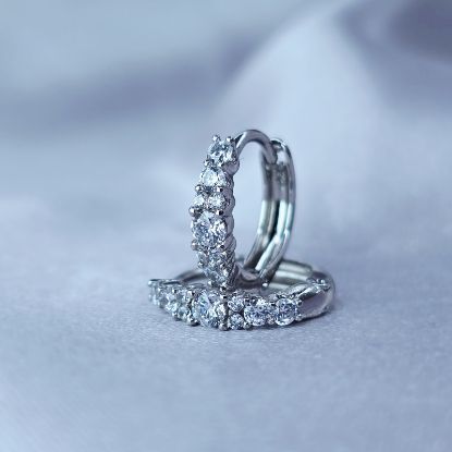 Picture of Beautiful Crystals Huggie