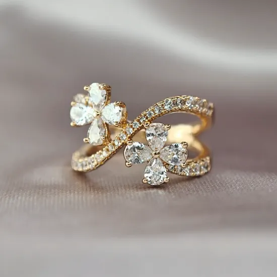 Imagen de Anillo Infinito y Pétalos de Cristal